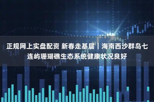 正规网上实盘配资 新春走基层｜海南西沙群岛七连屿珊瑚礁生态系统健康状况良好