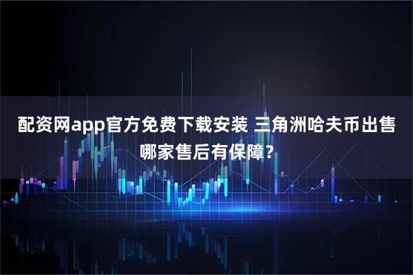 配资网app官方免费下载安装 三角洲哈夫币出售哪家售后有保障？